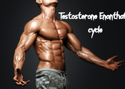 Testosterone Enanthate For Muscle Gain And Fat Loss - 2023